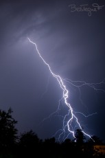 Eclair et ses ramifications dans le ciel genevois