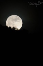 Pleine lune sur le Salève