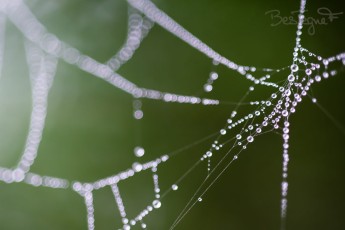 Collier de gouttes d'eau