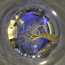 Eglise et arbre illuminé - Bossey (France)